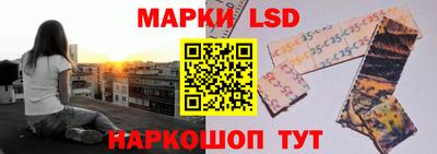 стафф Можга