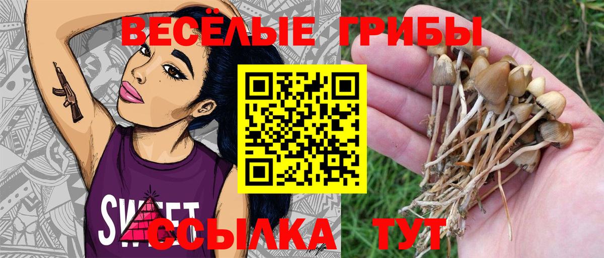 Псилоцибиновые грибы мицелий  Вход с VPN  Южноуральск  Псилоцибиновые грибы мухоморы 